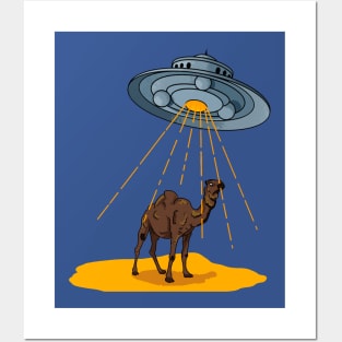 Camel Abduction Posters and Art